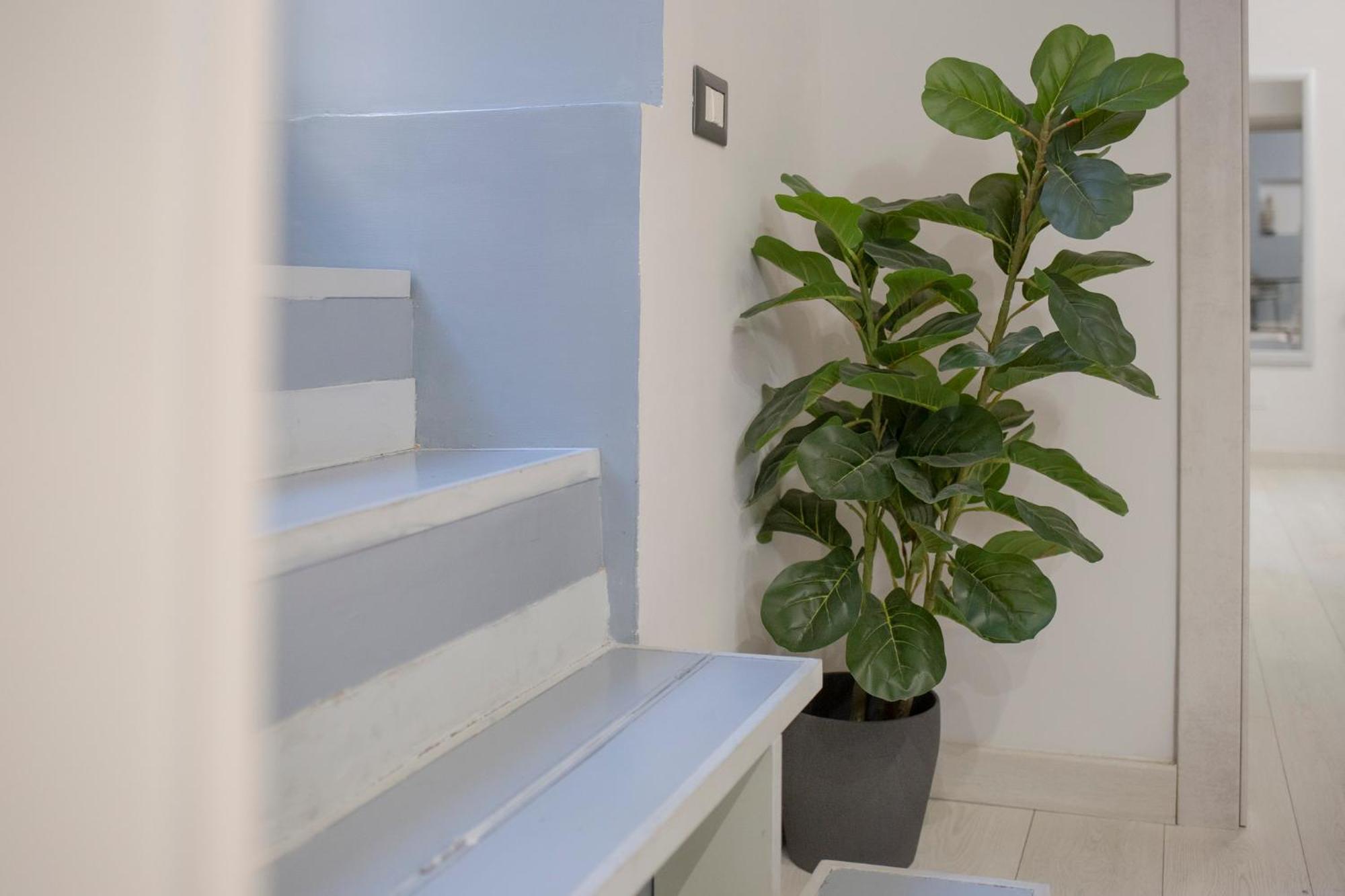 D'elite Cunfida - Vatican San Pietro Appartement Rome