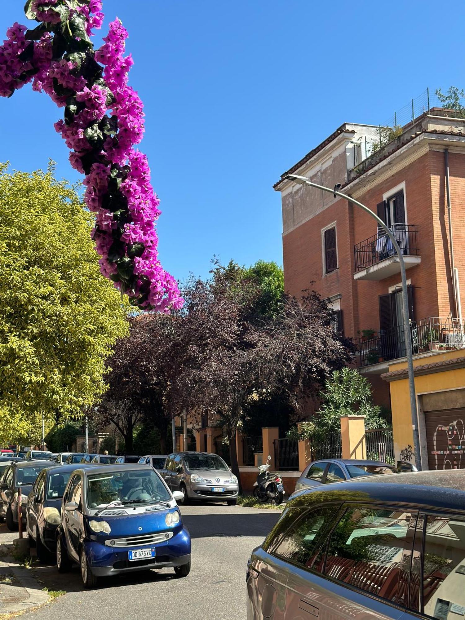 Trastevere Gianicolense Casa Con Giardino