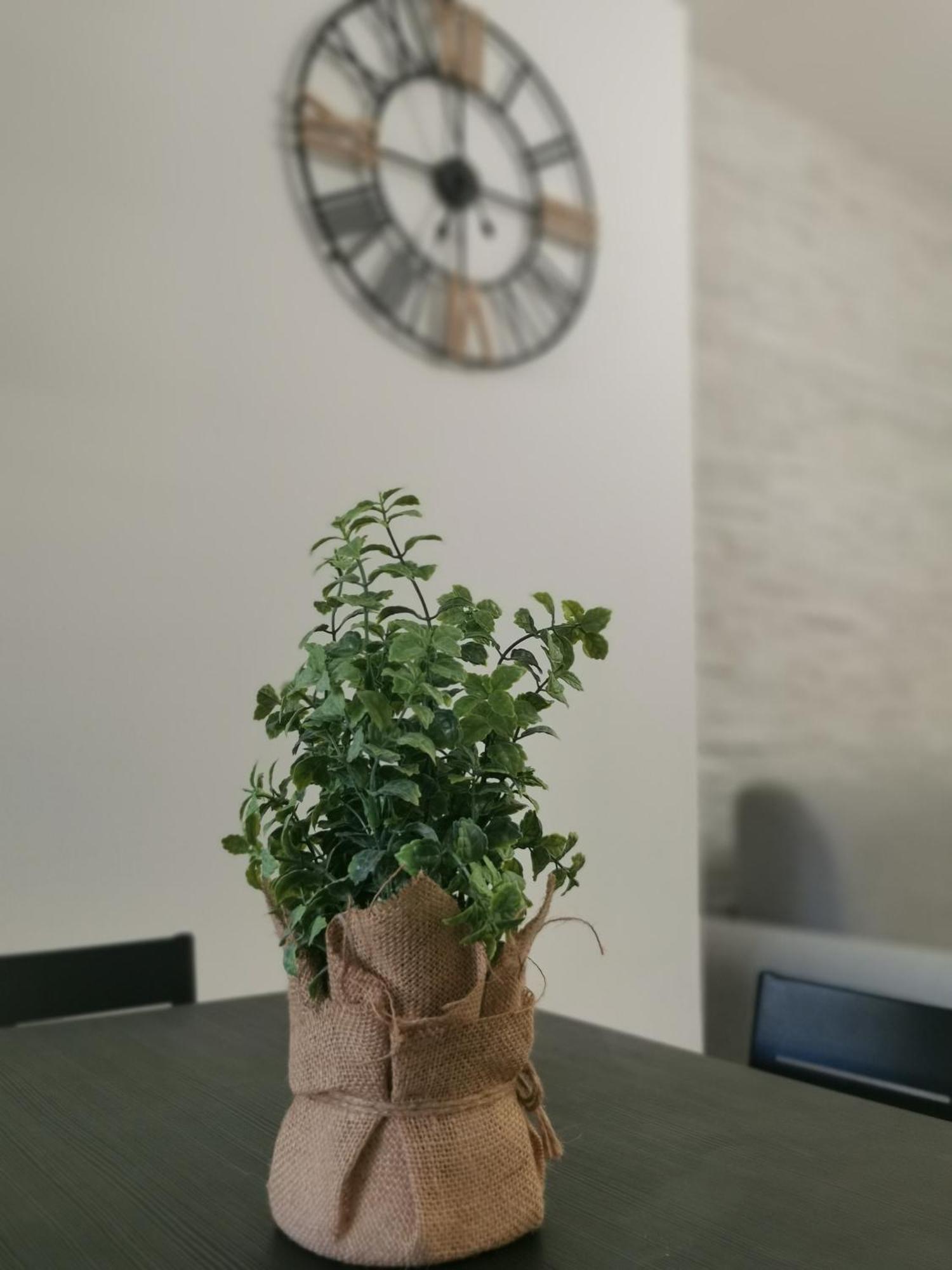 Appartement A Due Passi Da Trastevere