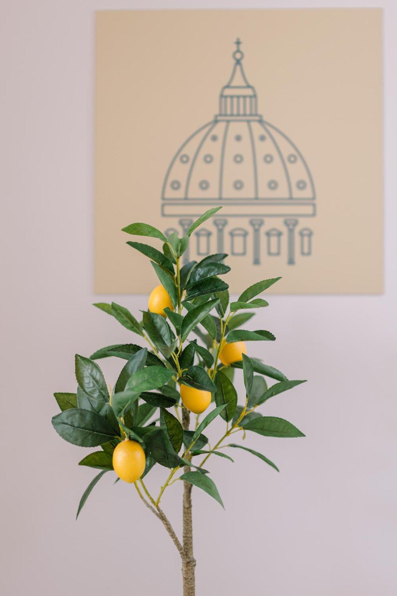 Delizioso In Zona Vaticano Apartment *