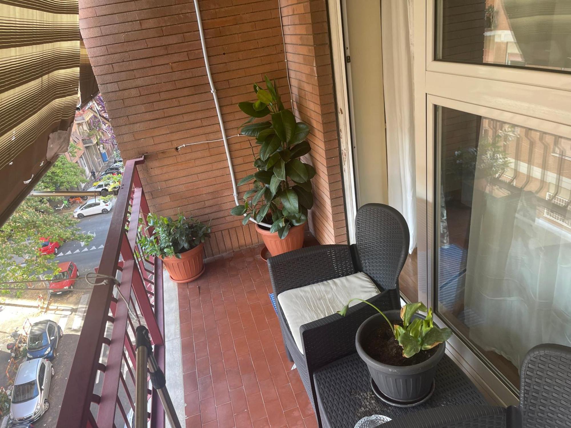 Exotic Guest house