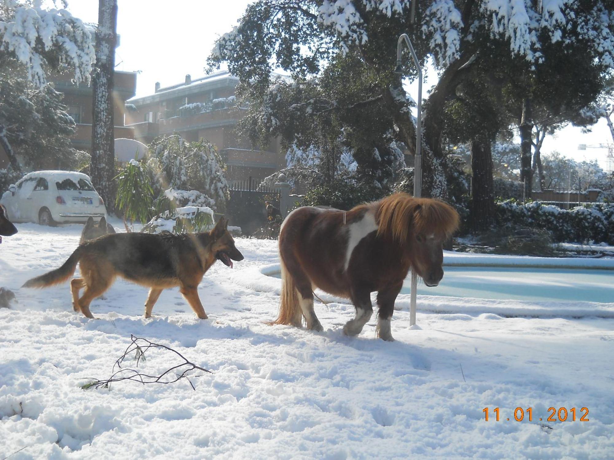 Relais La Canfora Rome