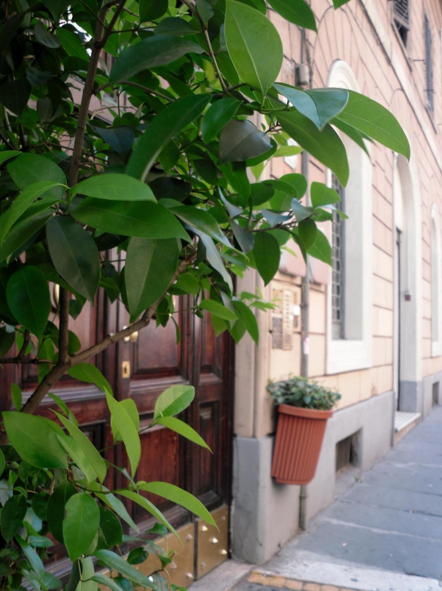 Hotel Castelfidardo Rome