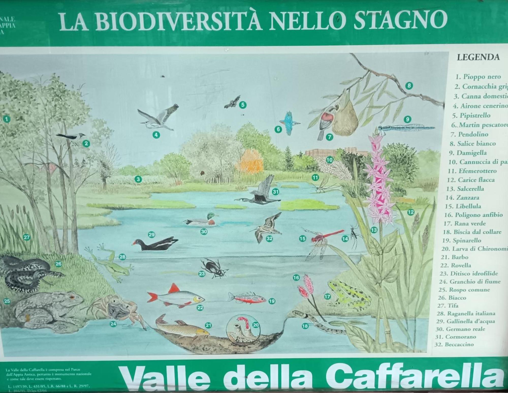 Casa Mia Metro A 100mt Rome