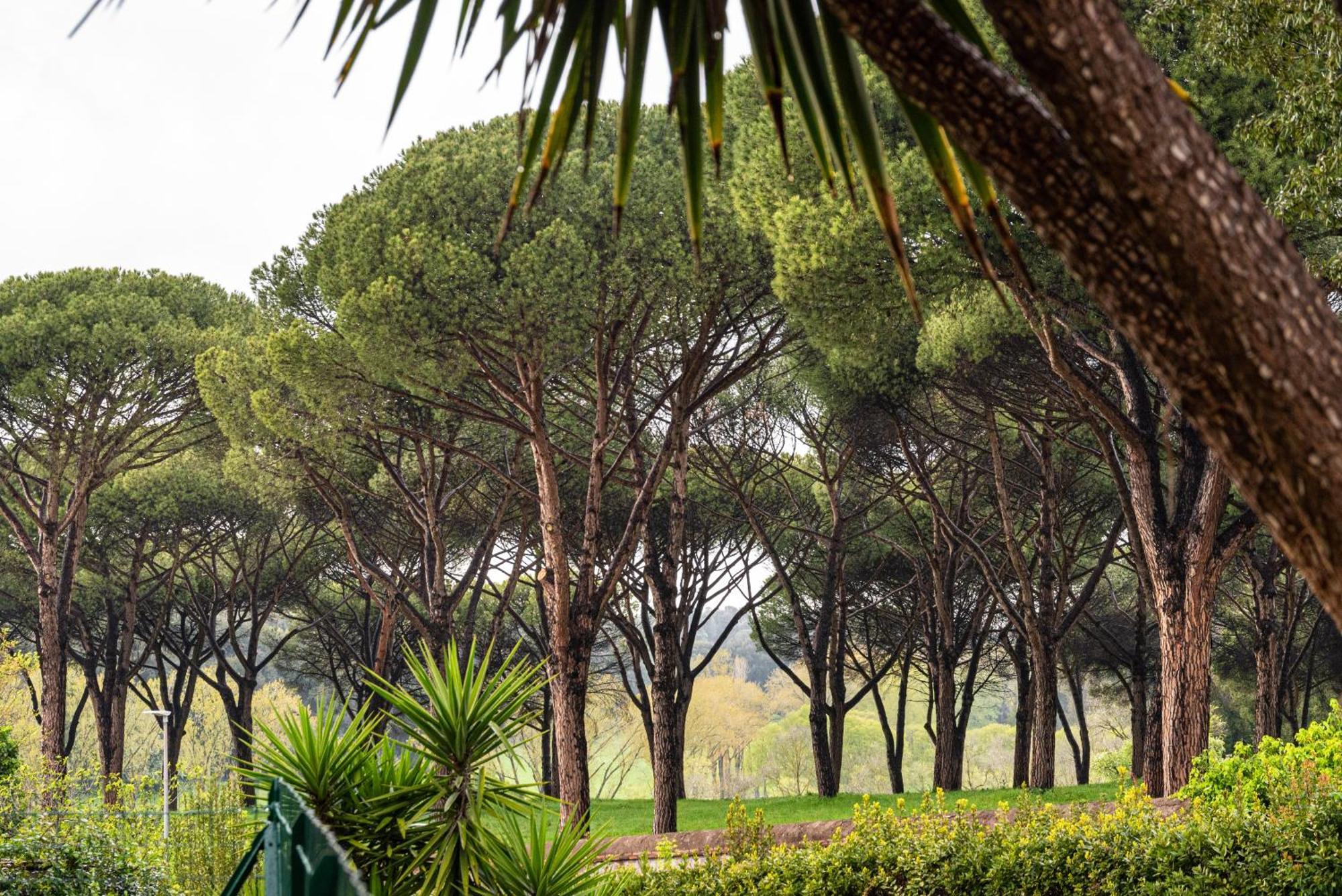 Pamphili Garden Rome