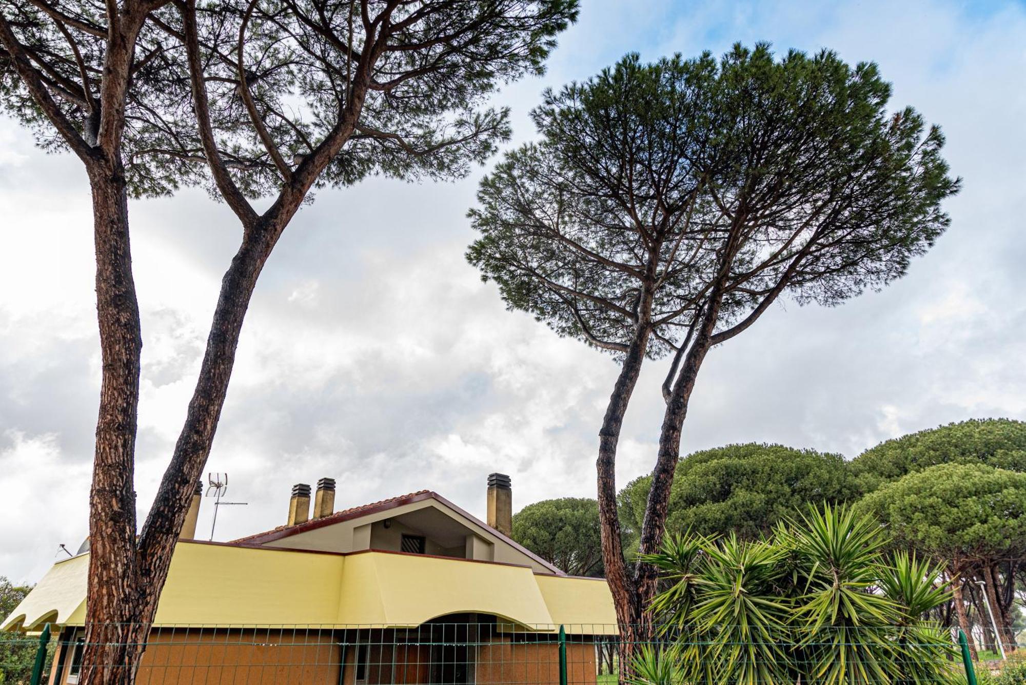 Pamphili Garden Appartement *