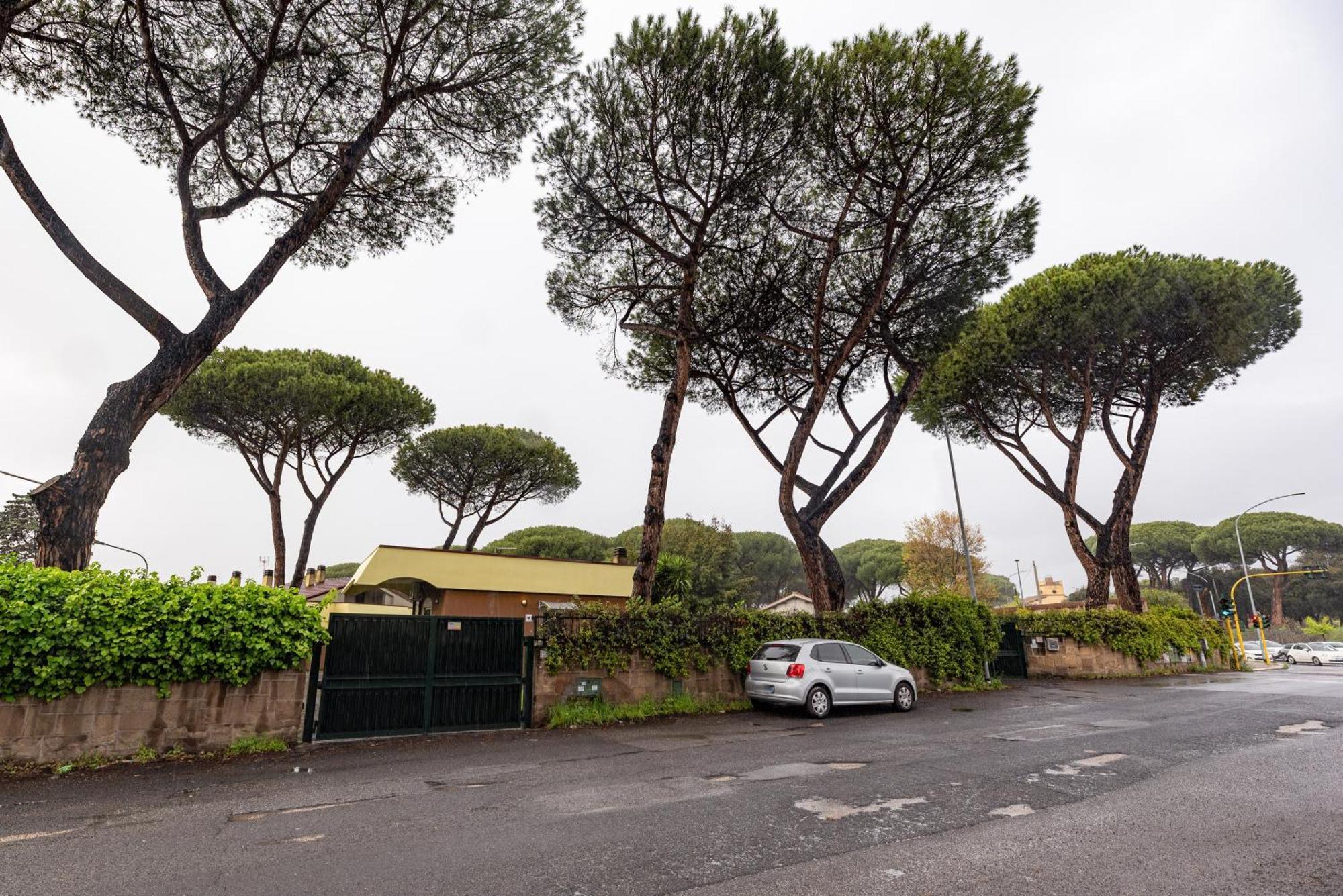 Pamphili Garden *