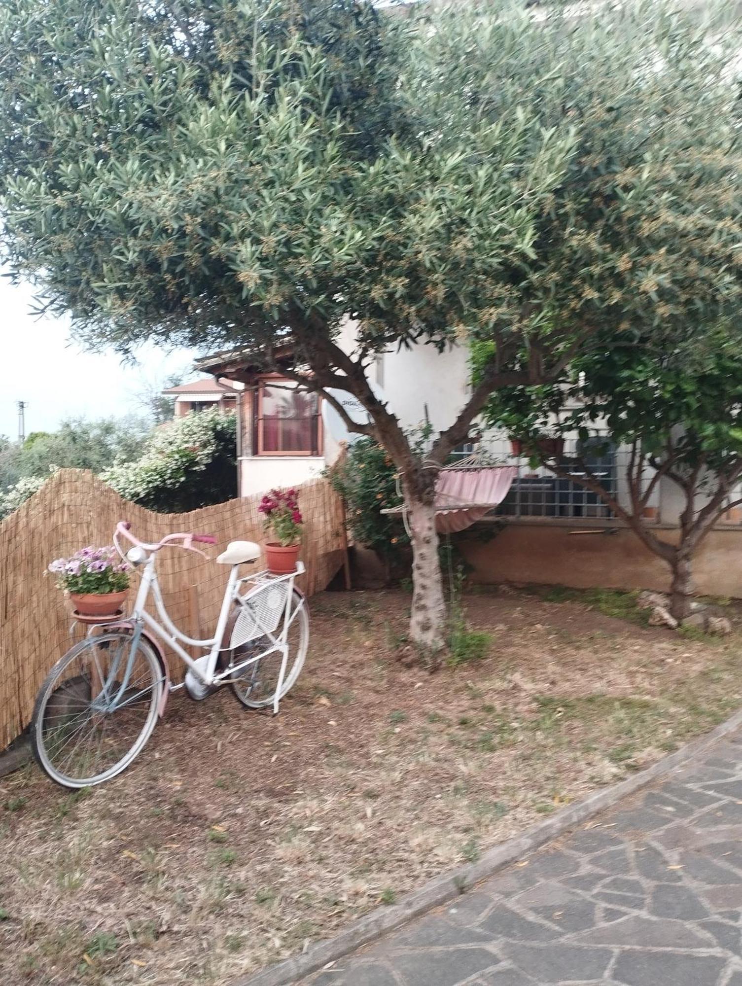 Accommodatie bij particulieren Elena House *