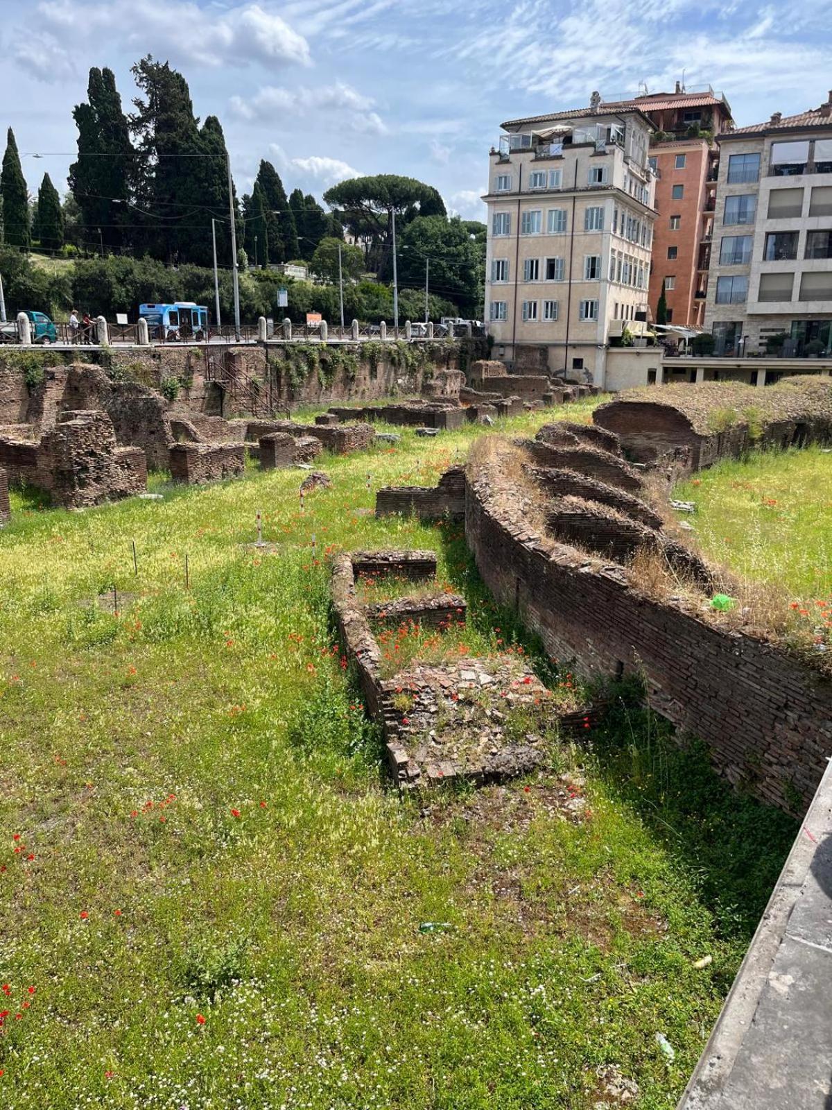 Colosseo Gil