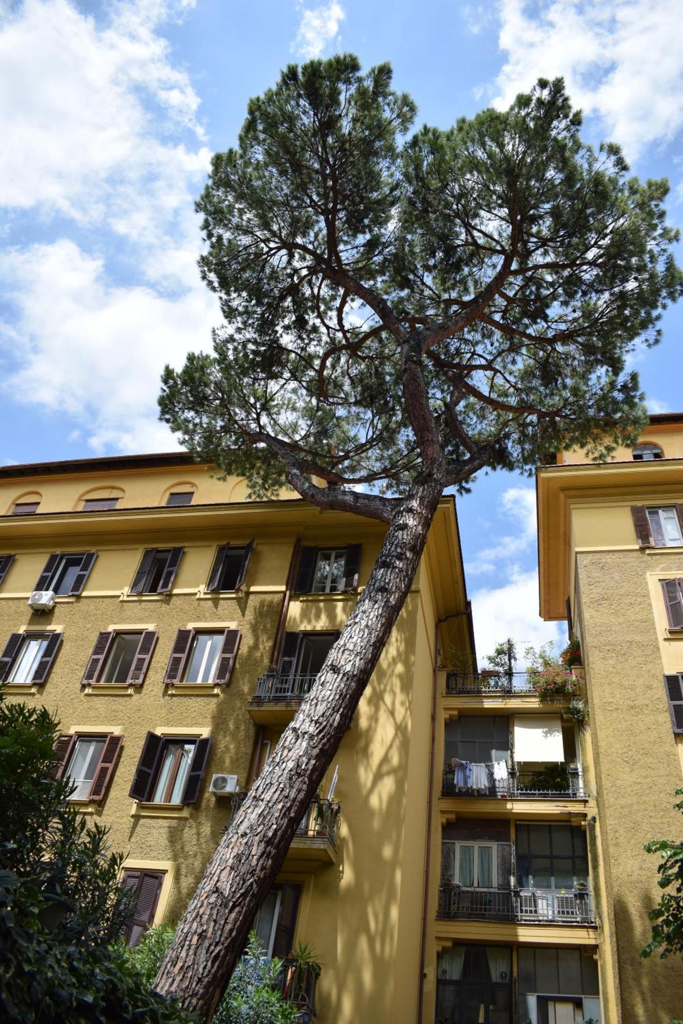 Apartment Mazzini