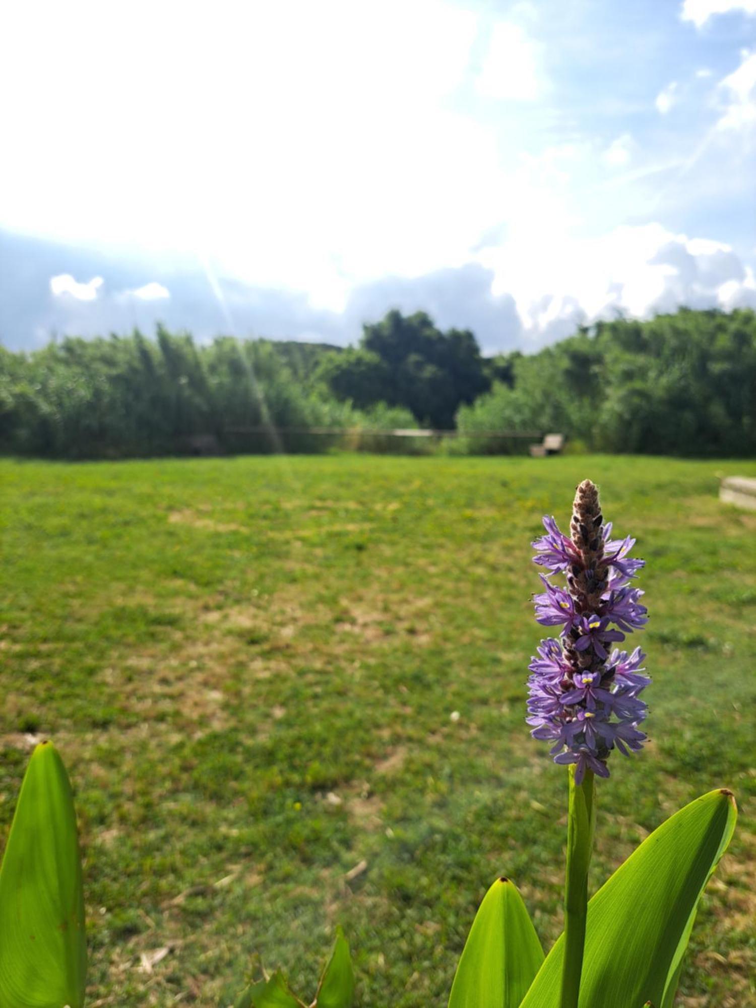 Appartamento Lacasadirosa