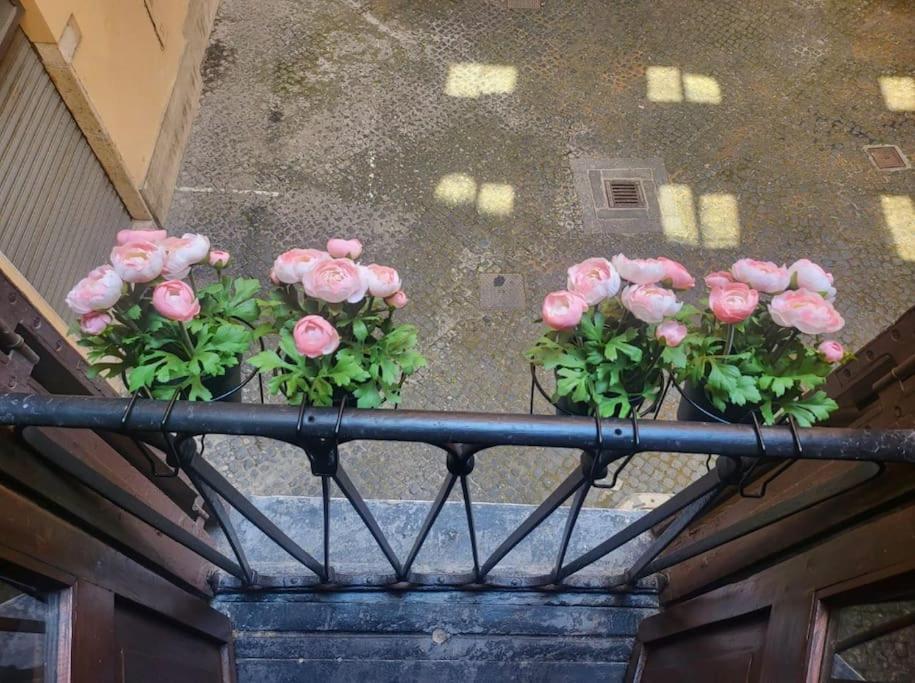 Suitepantheon Vakantiehuis