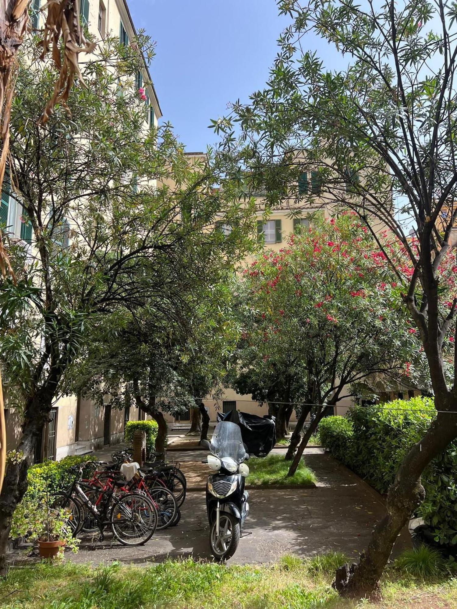 Casa Al Pigneto * Rome
