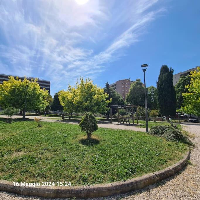 Domus Vincentis Eur -space&light - Center In 20min Appartement