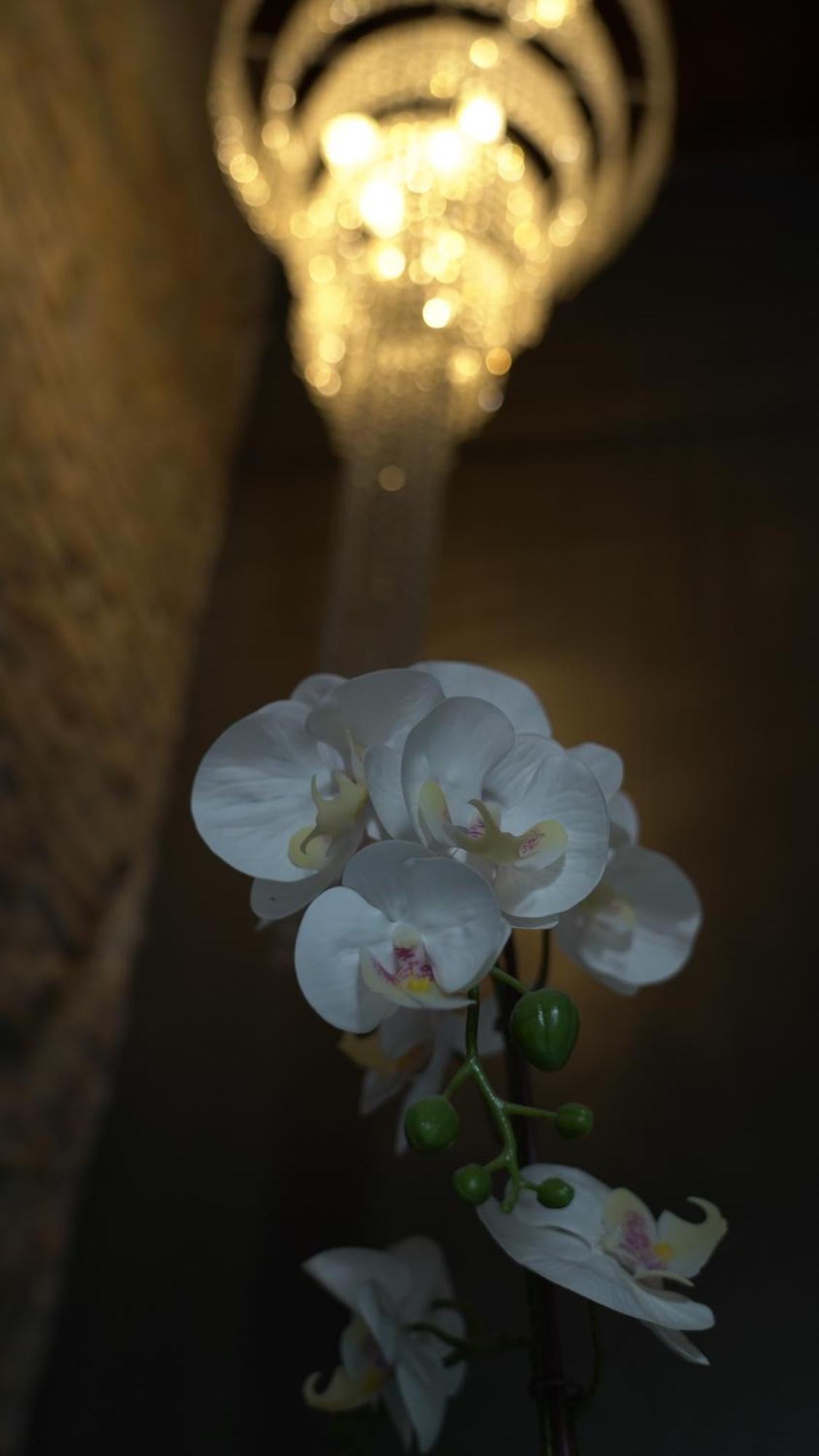 Rhome Luxury * Rome