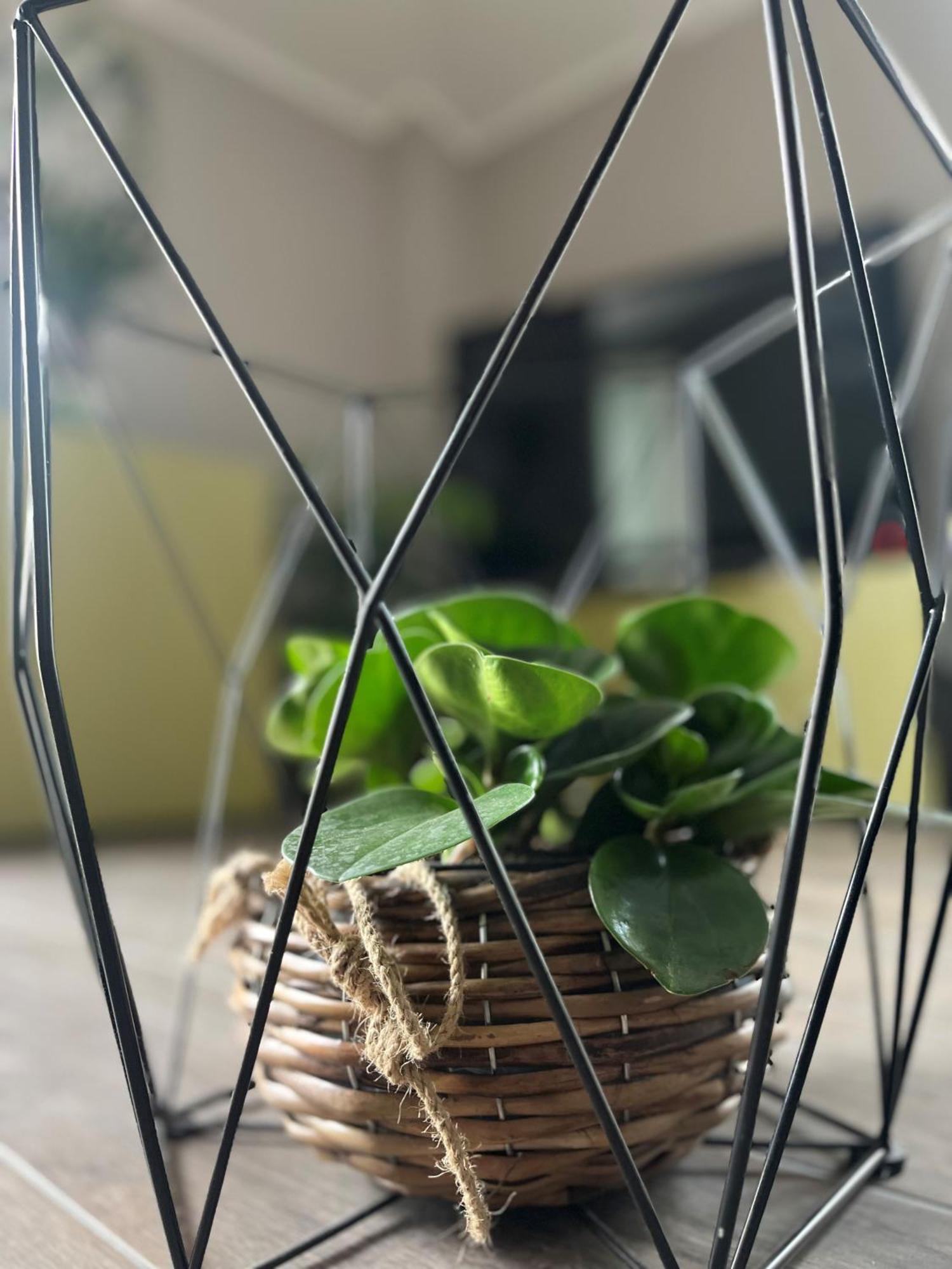 Maison Luce *