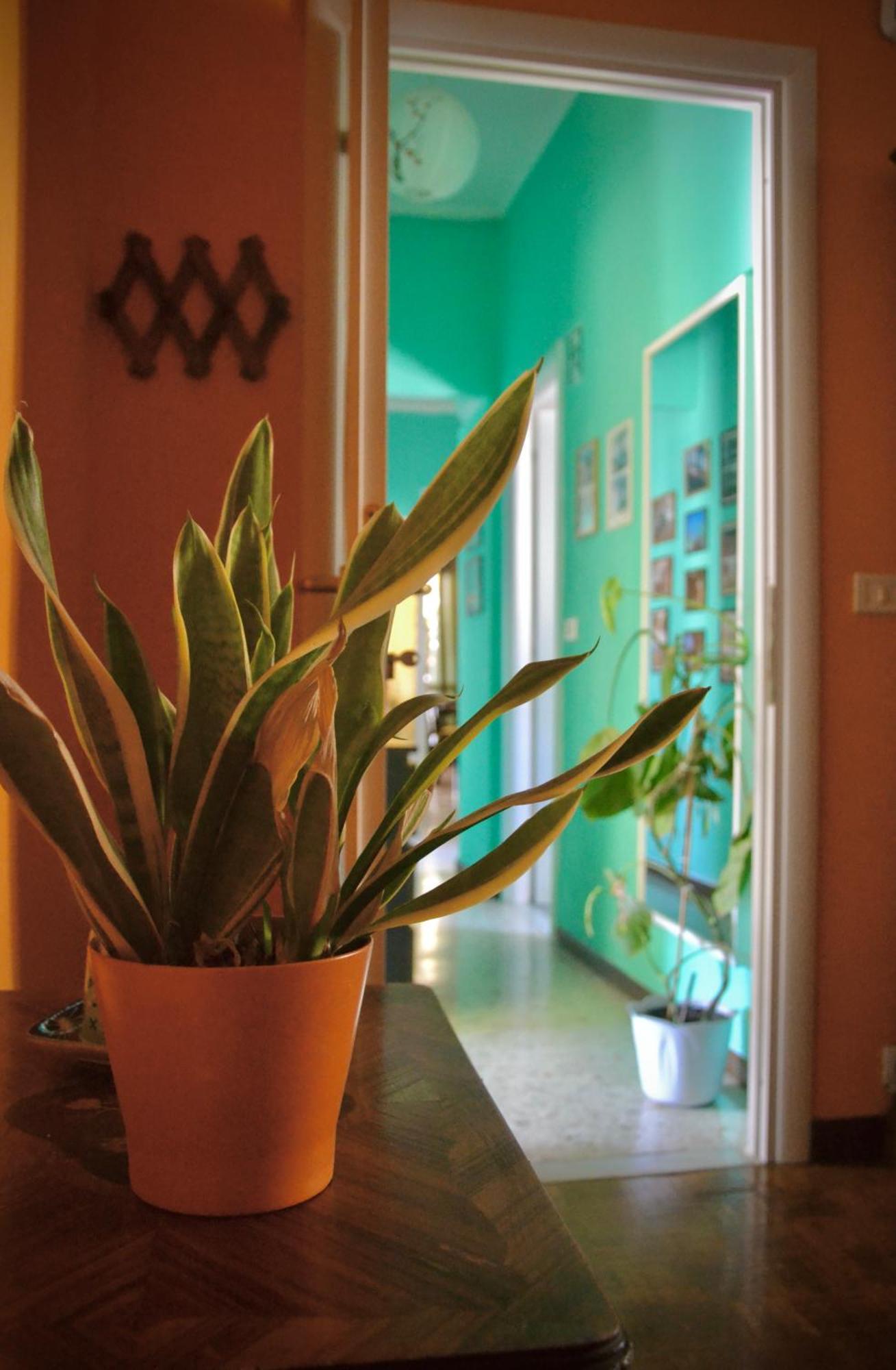 4321 Stazione Trastevere Guest house *