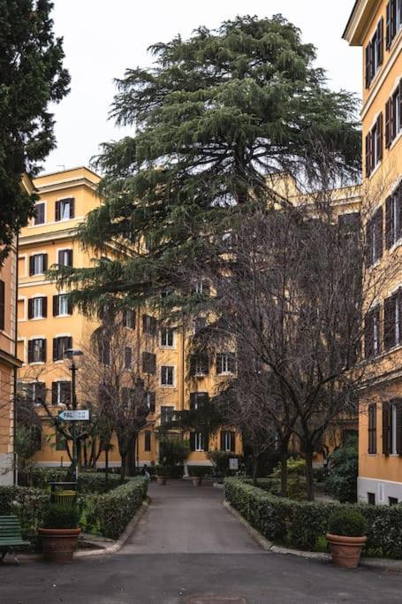 New Near Piazza Del Popolo Roma