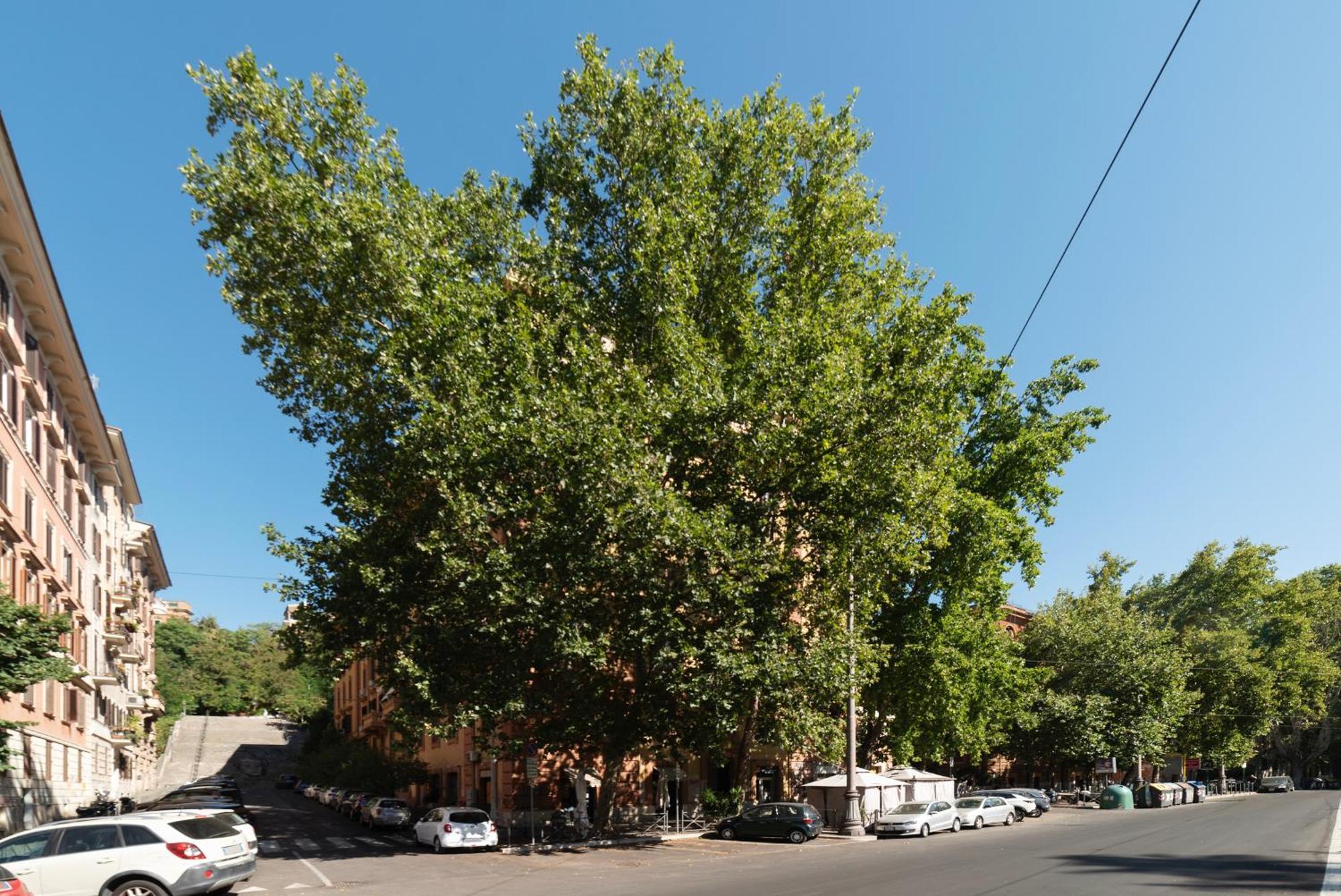 Piazza Nievo A Trastevere Cozy Apartment