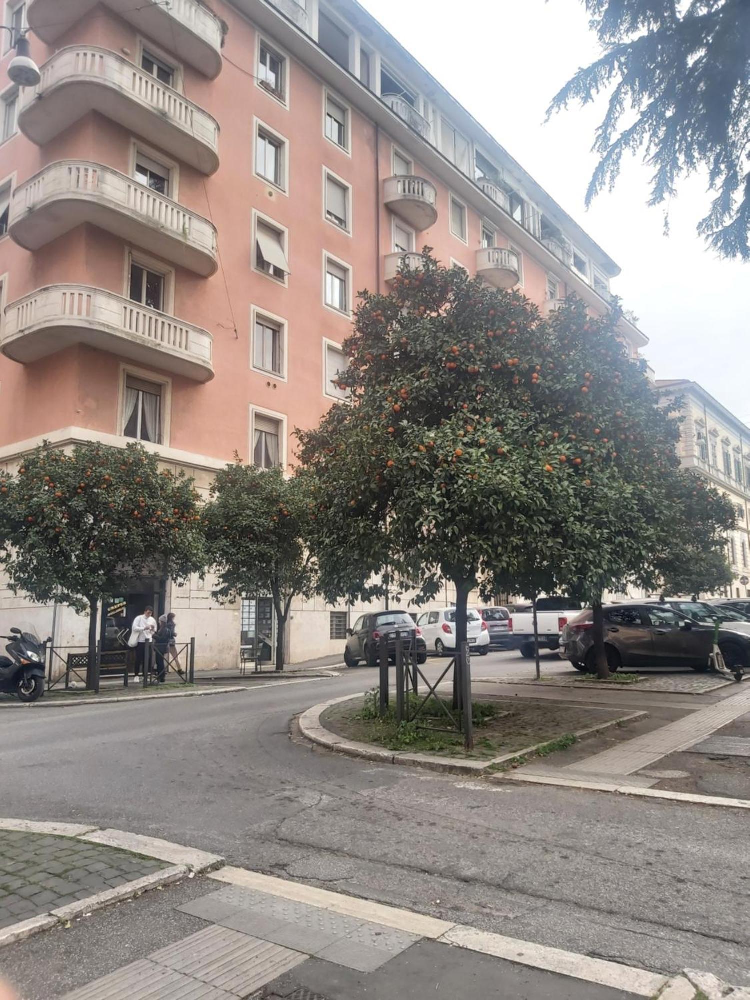 Apartamento Holiday Colosseum *