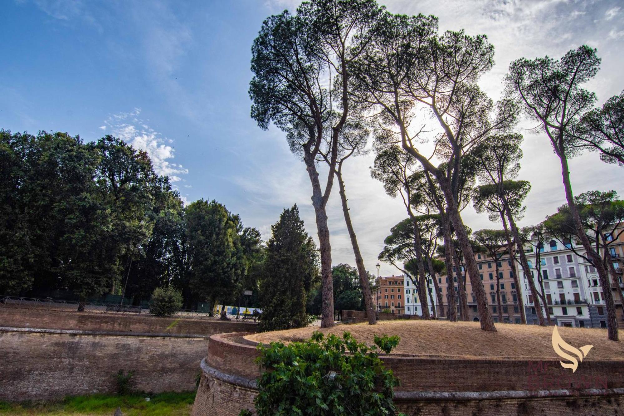 Apartment Mrbrown - Luxury Vaticano Rome