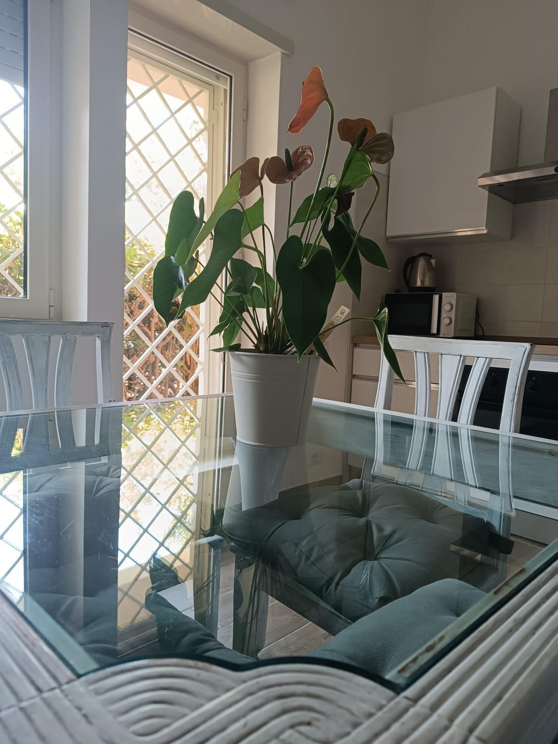Aurelia Deluxe Hébergement de vacances