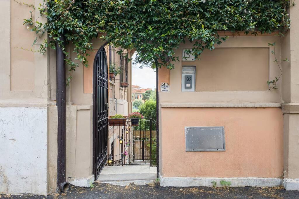 Poerio Home&garden Near The Centre Of Appartement *