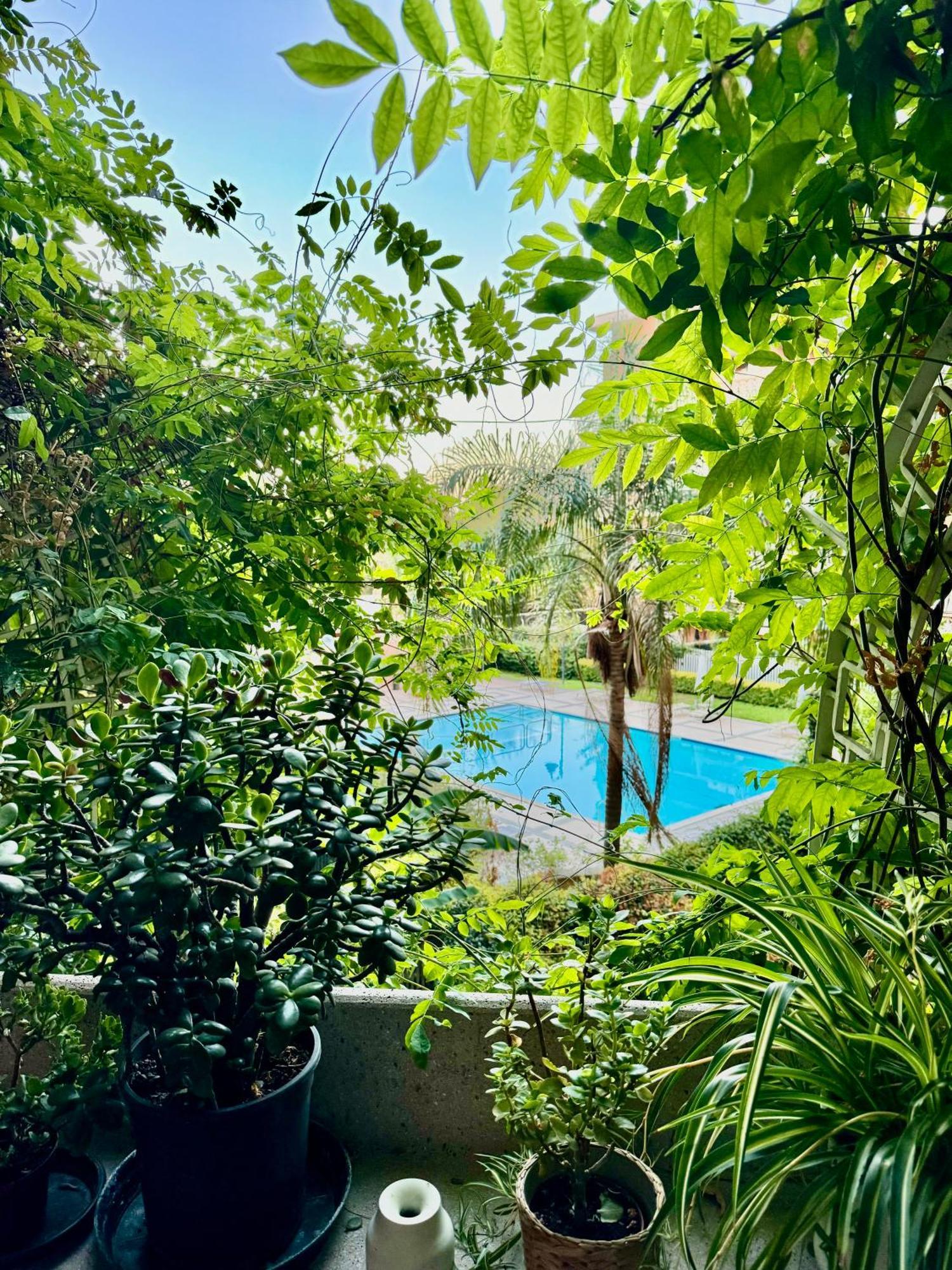Apartment Flaminia Rome
