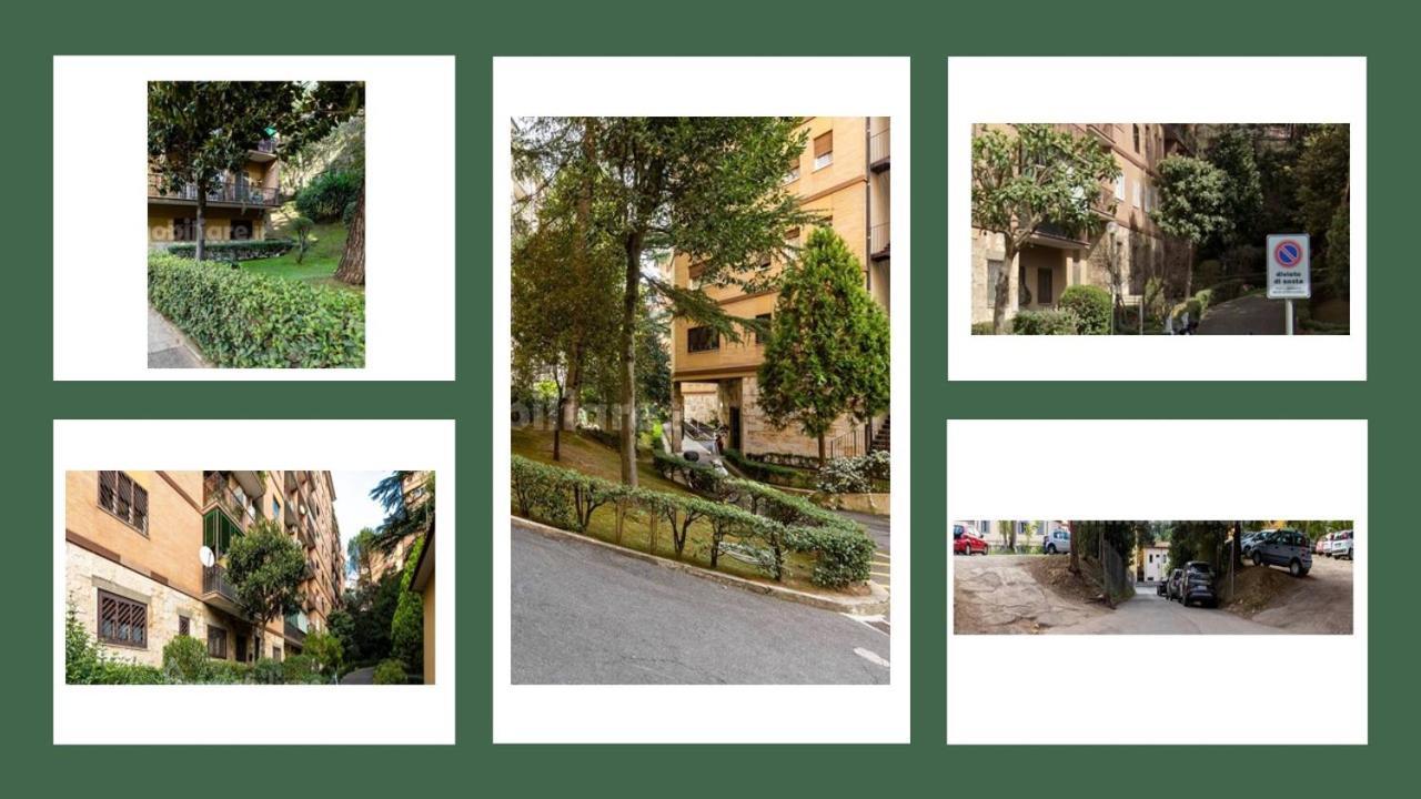 Apartment Vatican Oasis Free Parking Rome