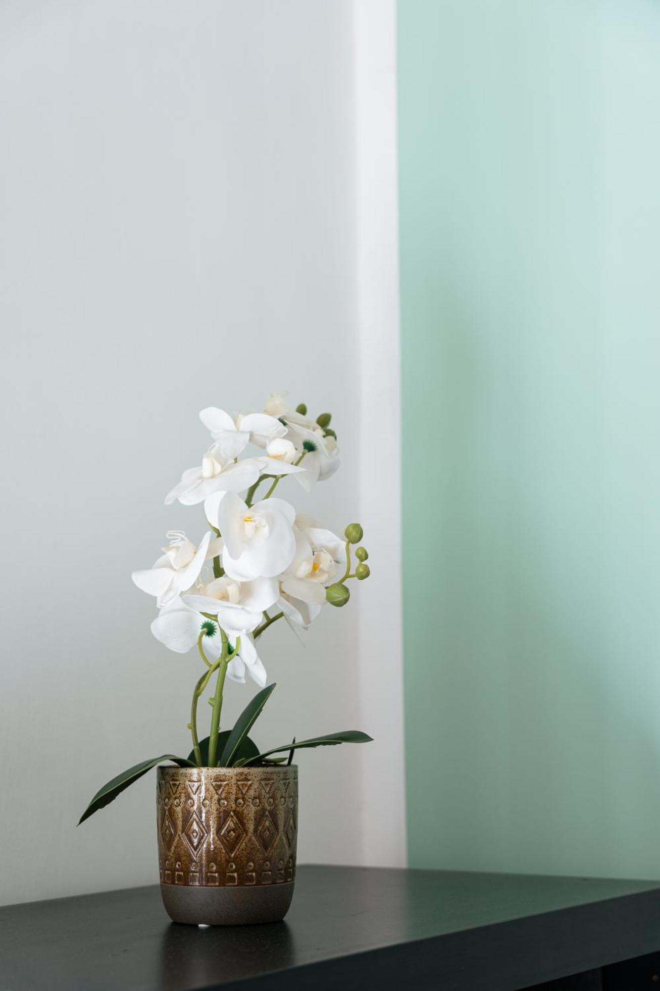 Urban Nest Apartamento