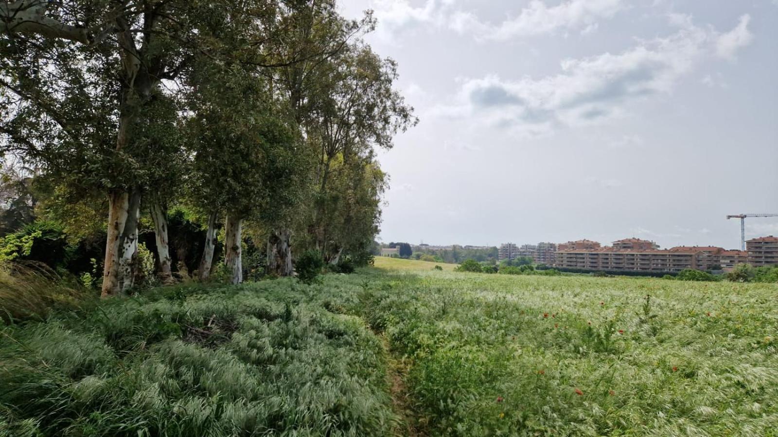 La Stanza Degli Abeti Blu Accommodatie bij particulieren *