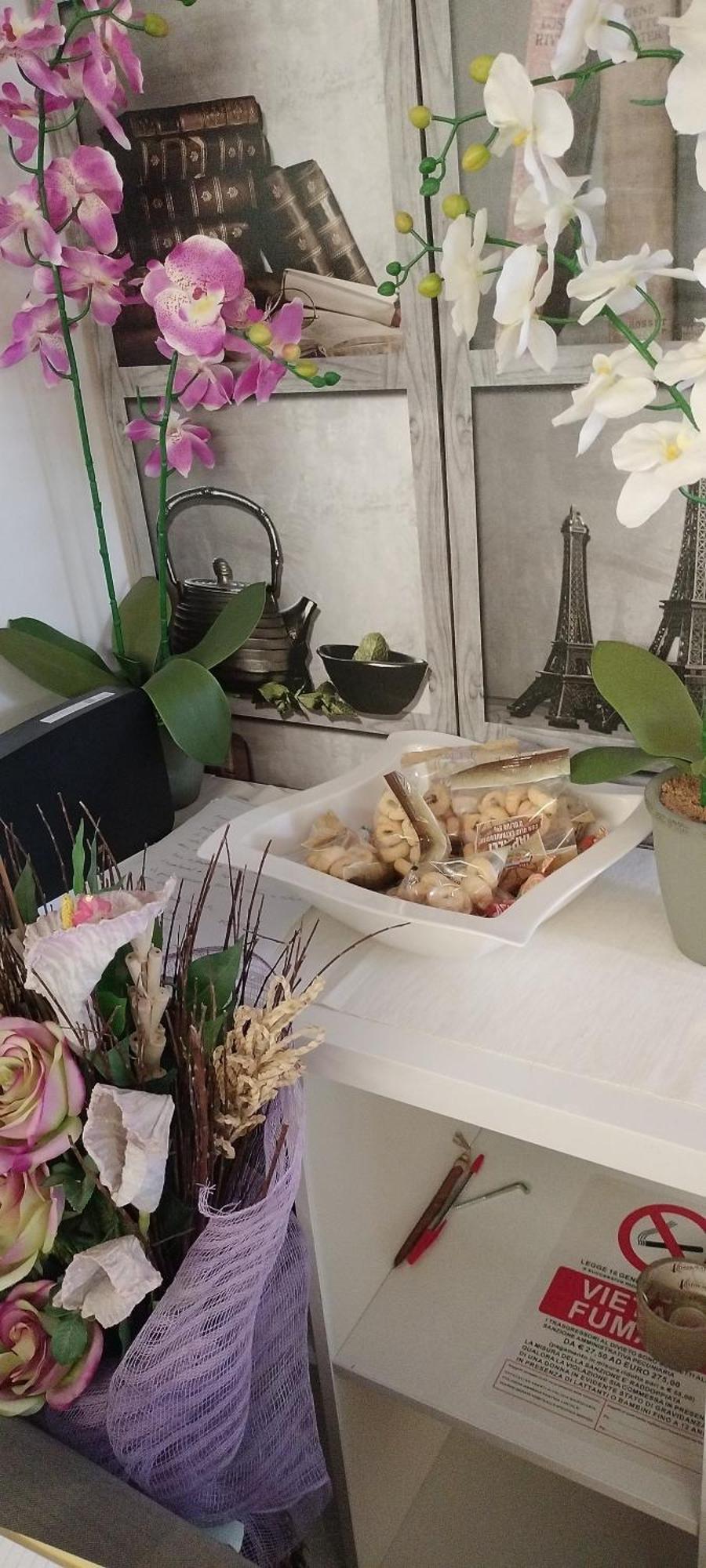 Appartement Vatican In