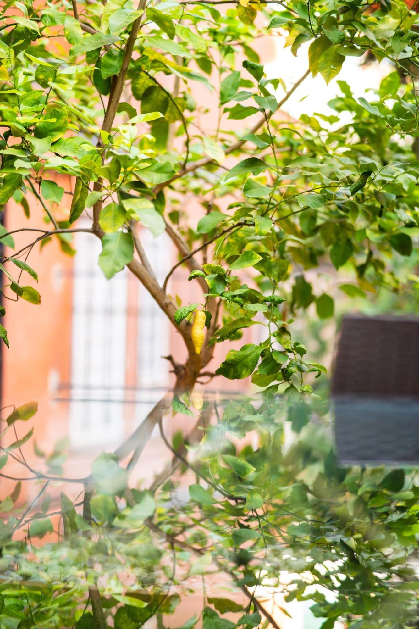 Aurea Vaticano Holiday home Rome