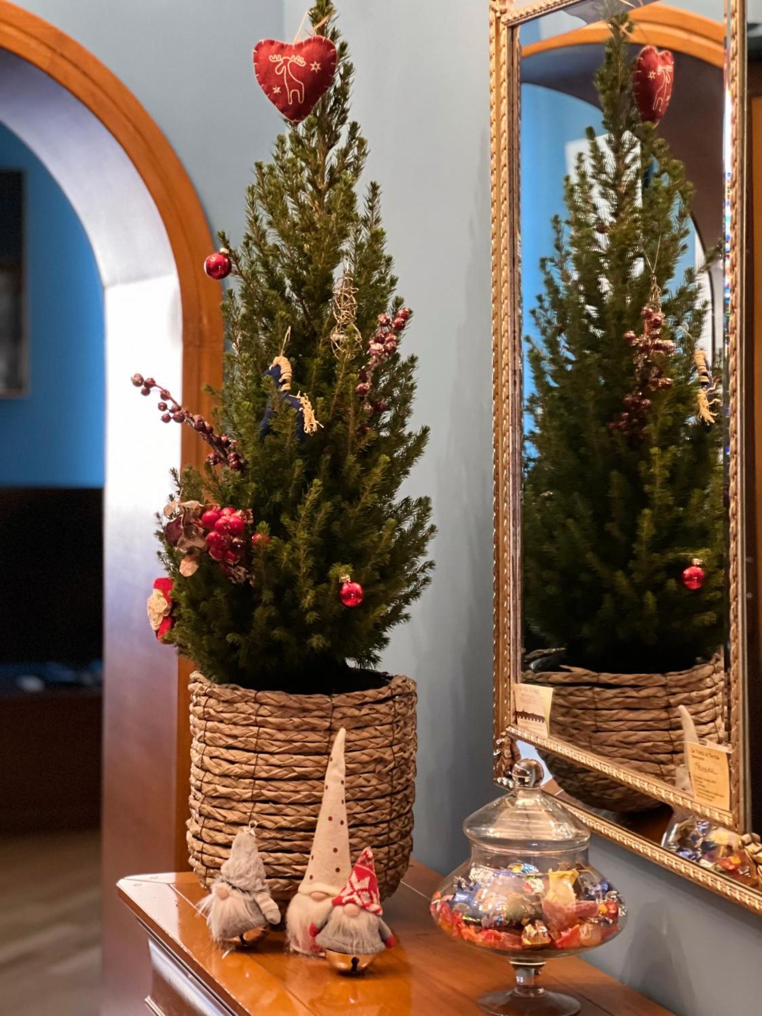 La Casa Di Efra Appartement
