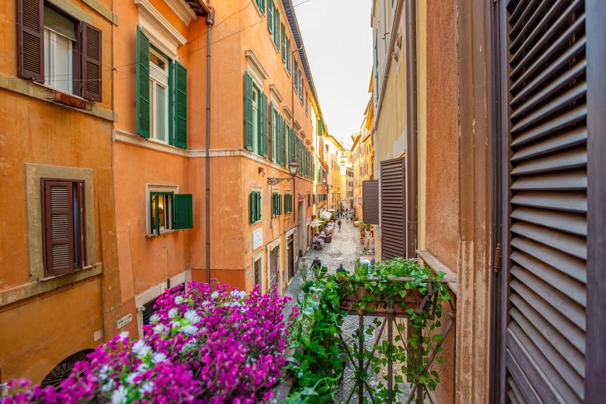 Easy Bear * Rome