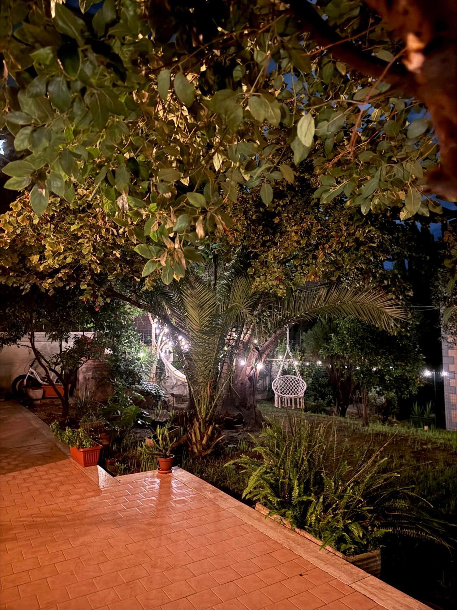Urban Oasis *