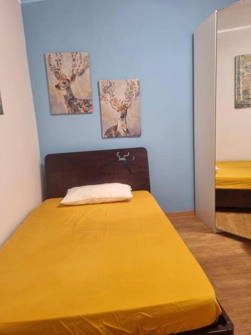 Casa Intera Vicino Il Centro Per 3 Persone * Rome