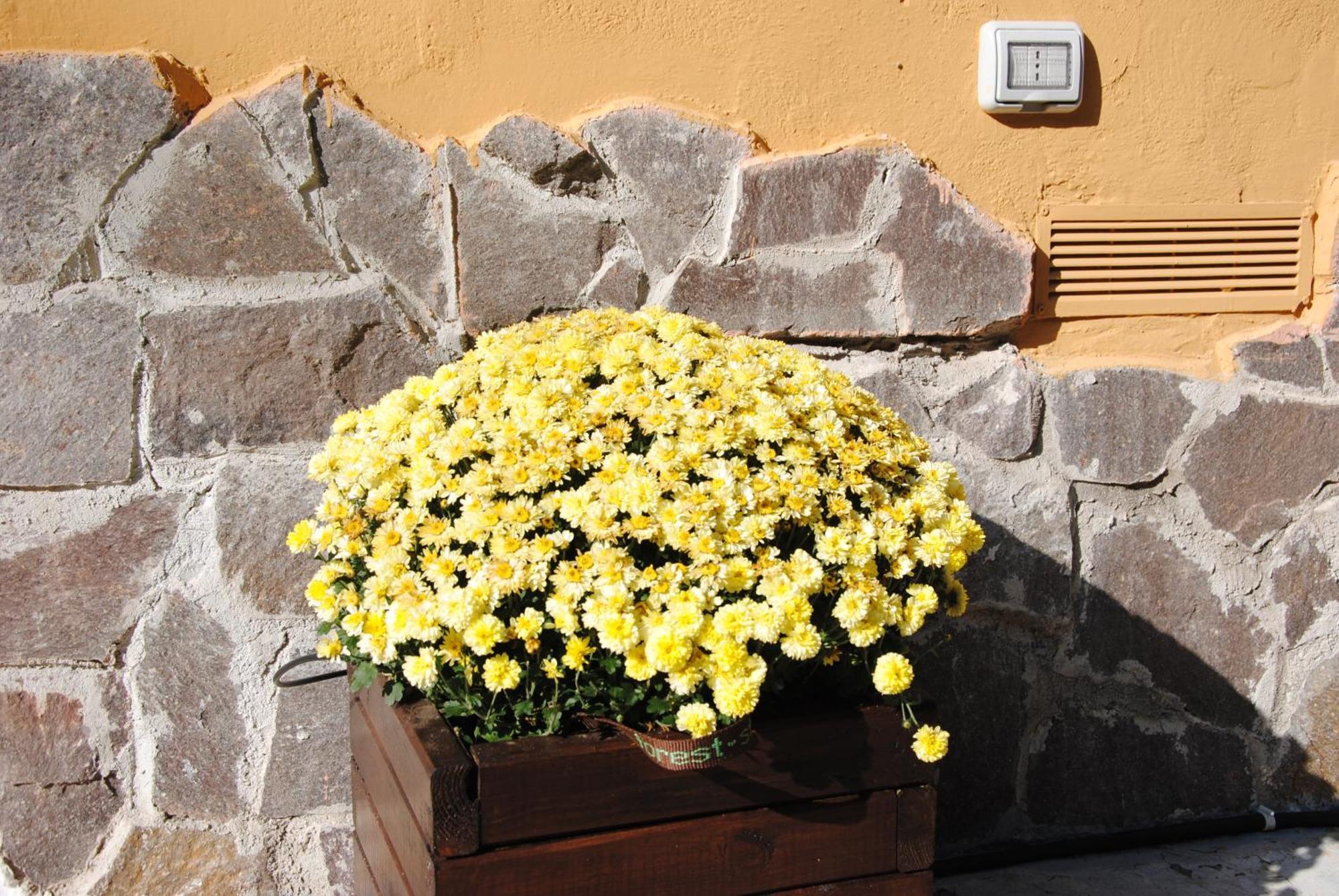 Il Portoncino Apartment