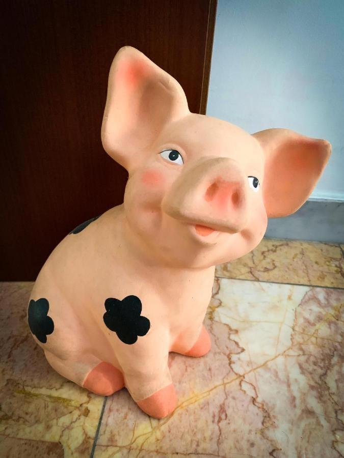 Séjour chez l'habitant Artistiche In