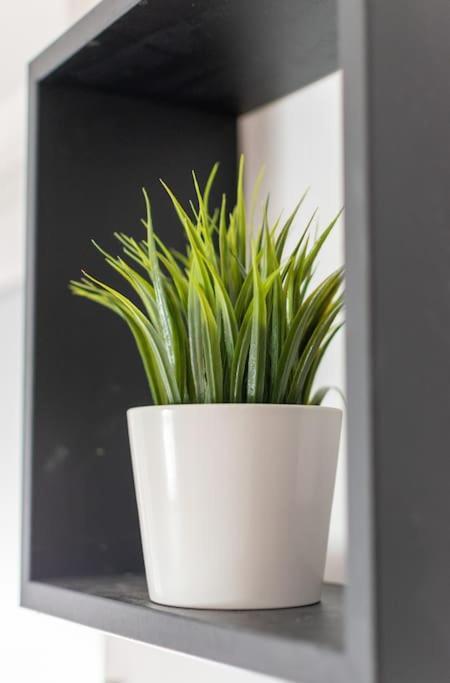 Appartement Living - San Paolo *