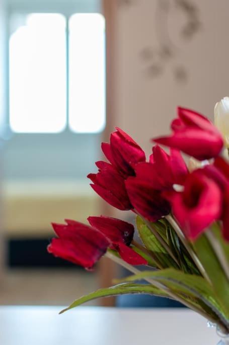 Living - San Paolo Appartement