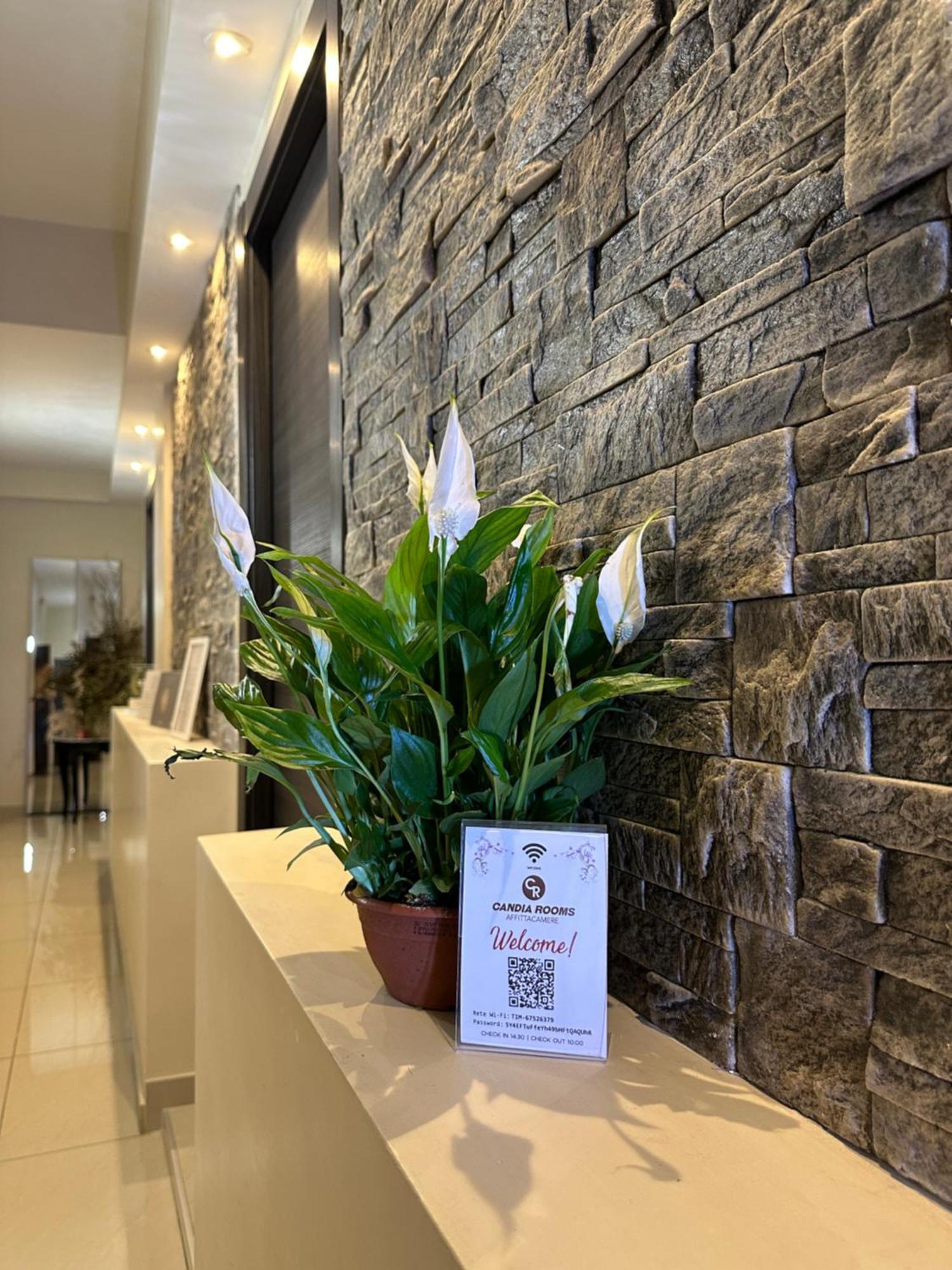 Bed & Breakfast Candia Roma
