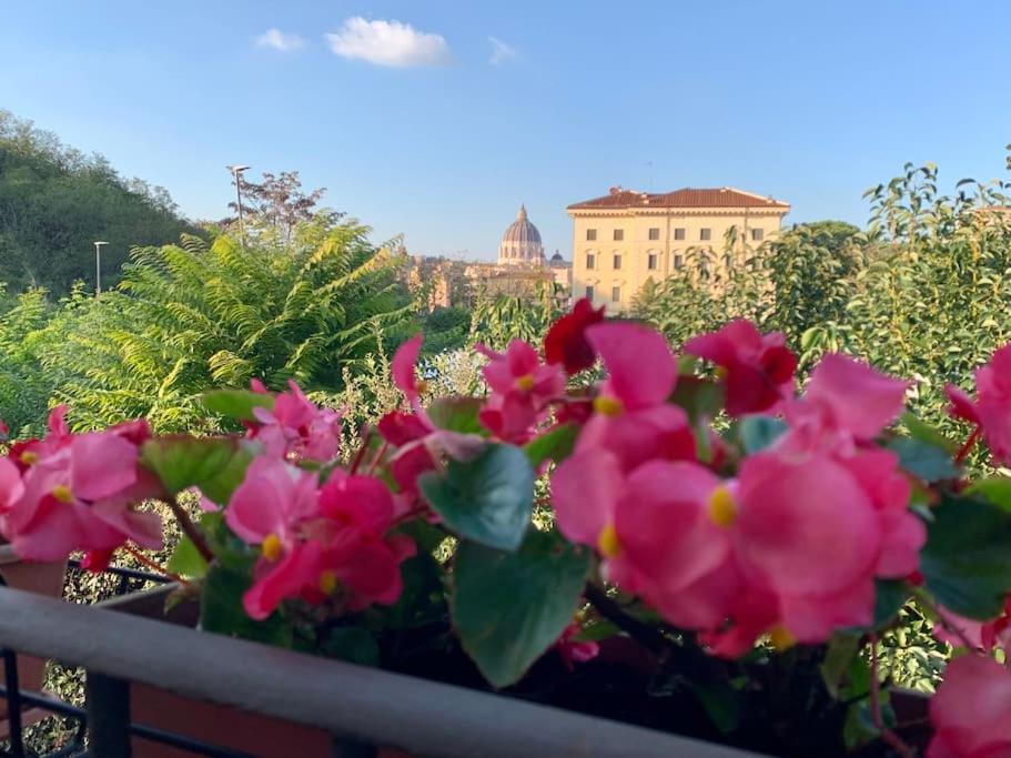 Rosa San Pietro Apartment Rome