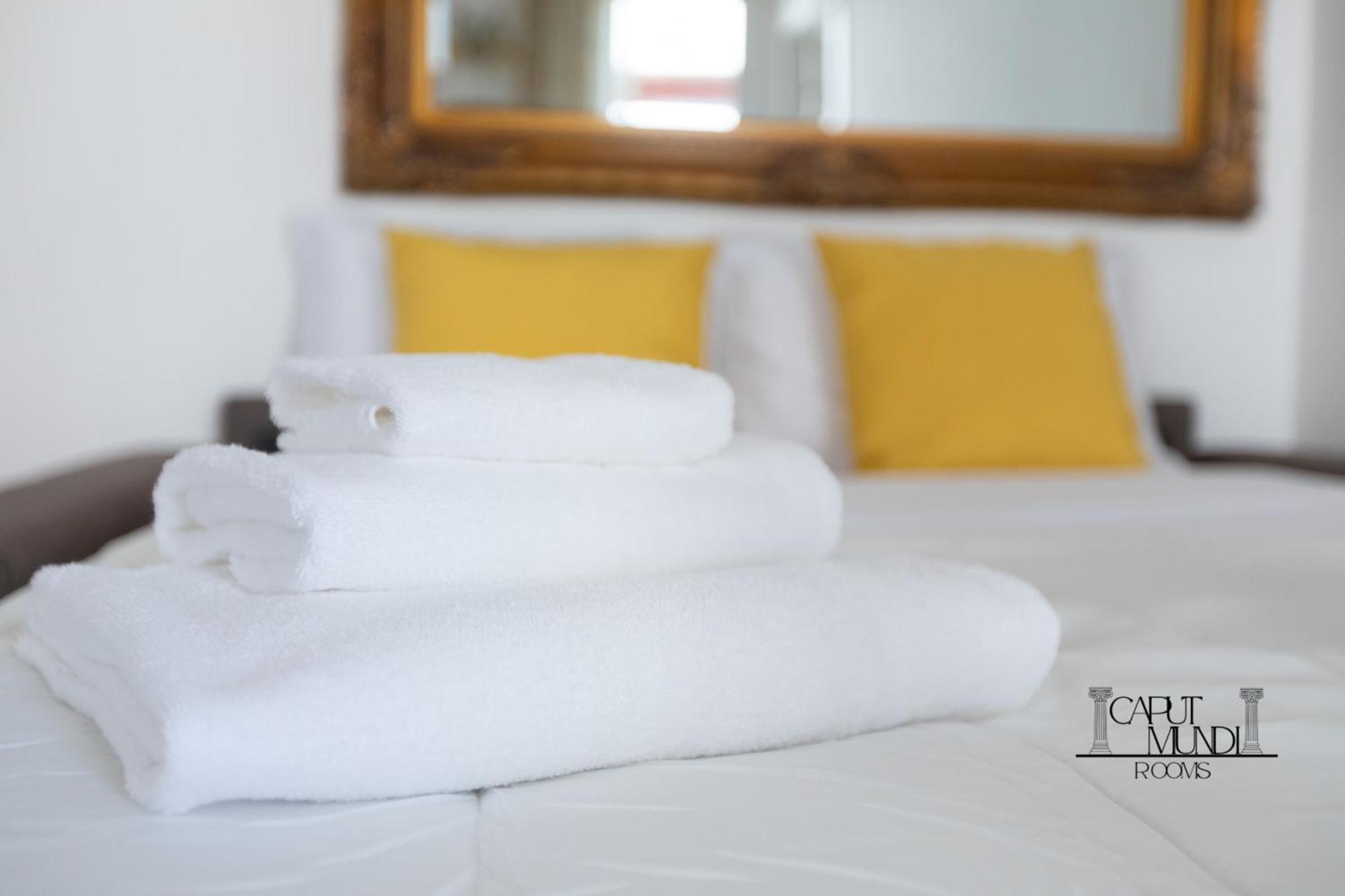Caput Mundi - 100mt To Metro A, Terrace, A-c, 15 Min To Center Guest house Rome