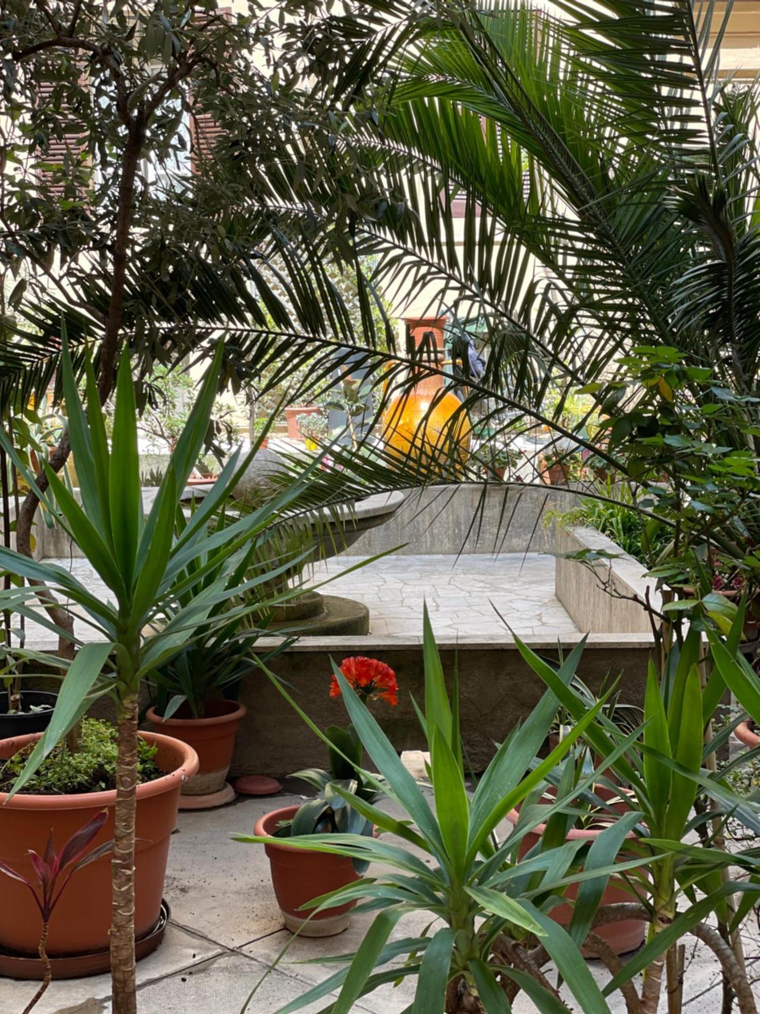 Sweet Vatican Guest house