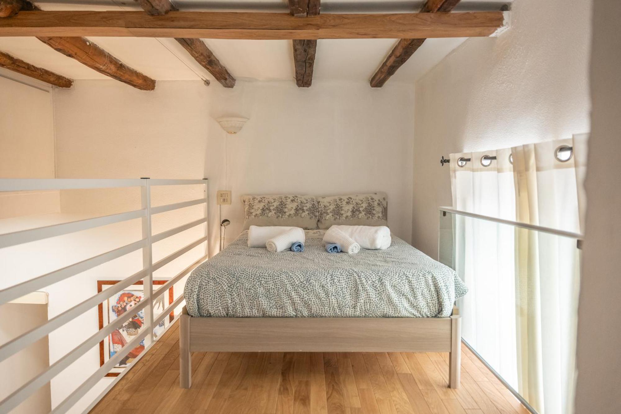 Domus Palestro Apartment