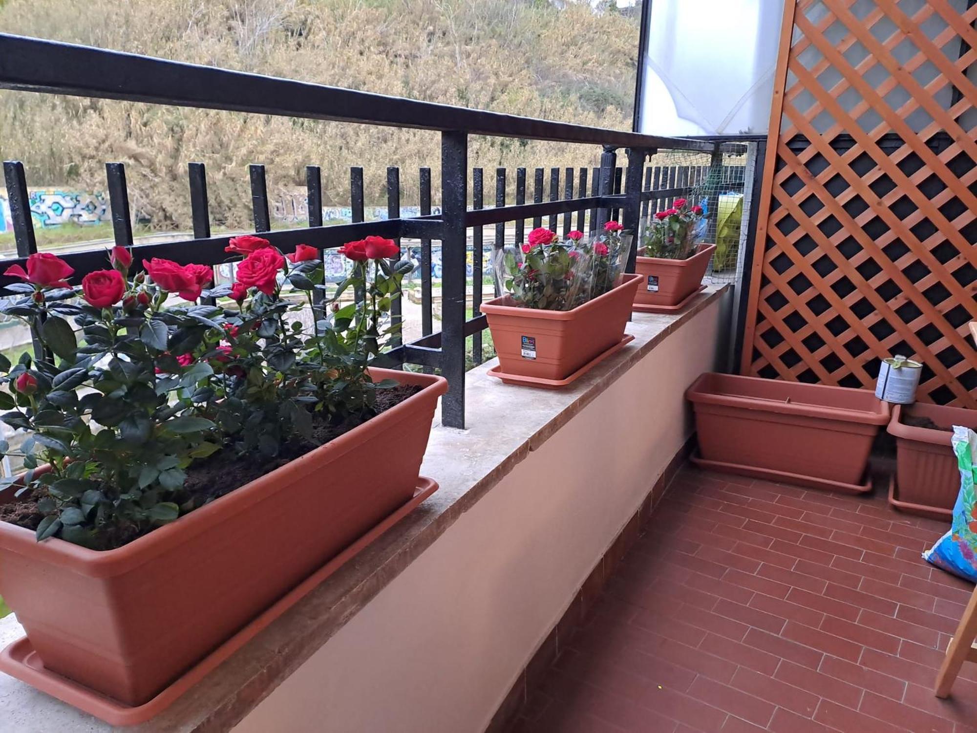 Appartement Antonella Vatican *