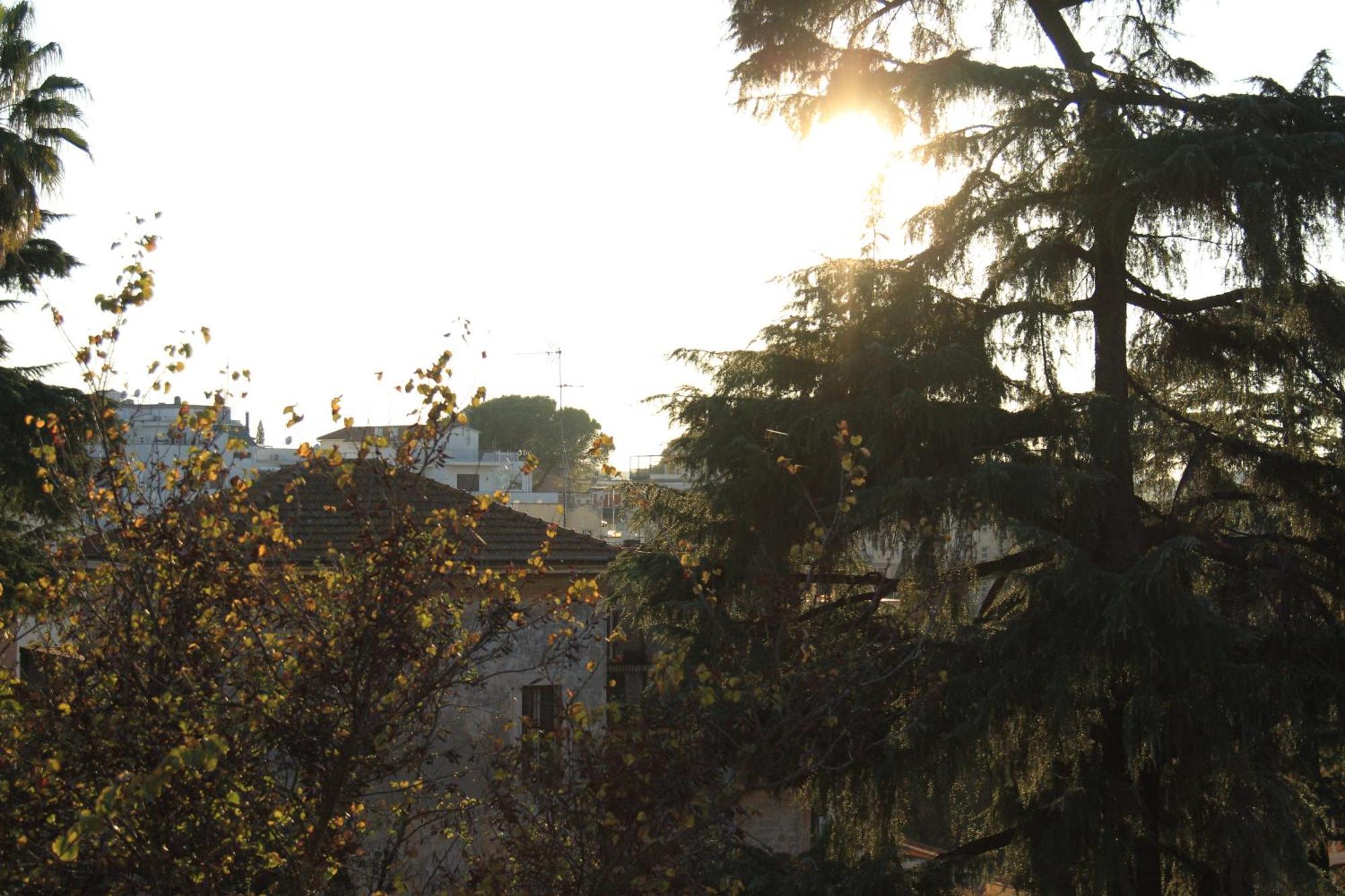 Apartment Domus Anna *