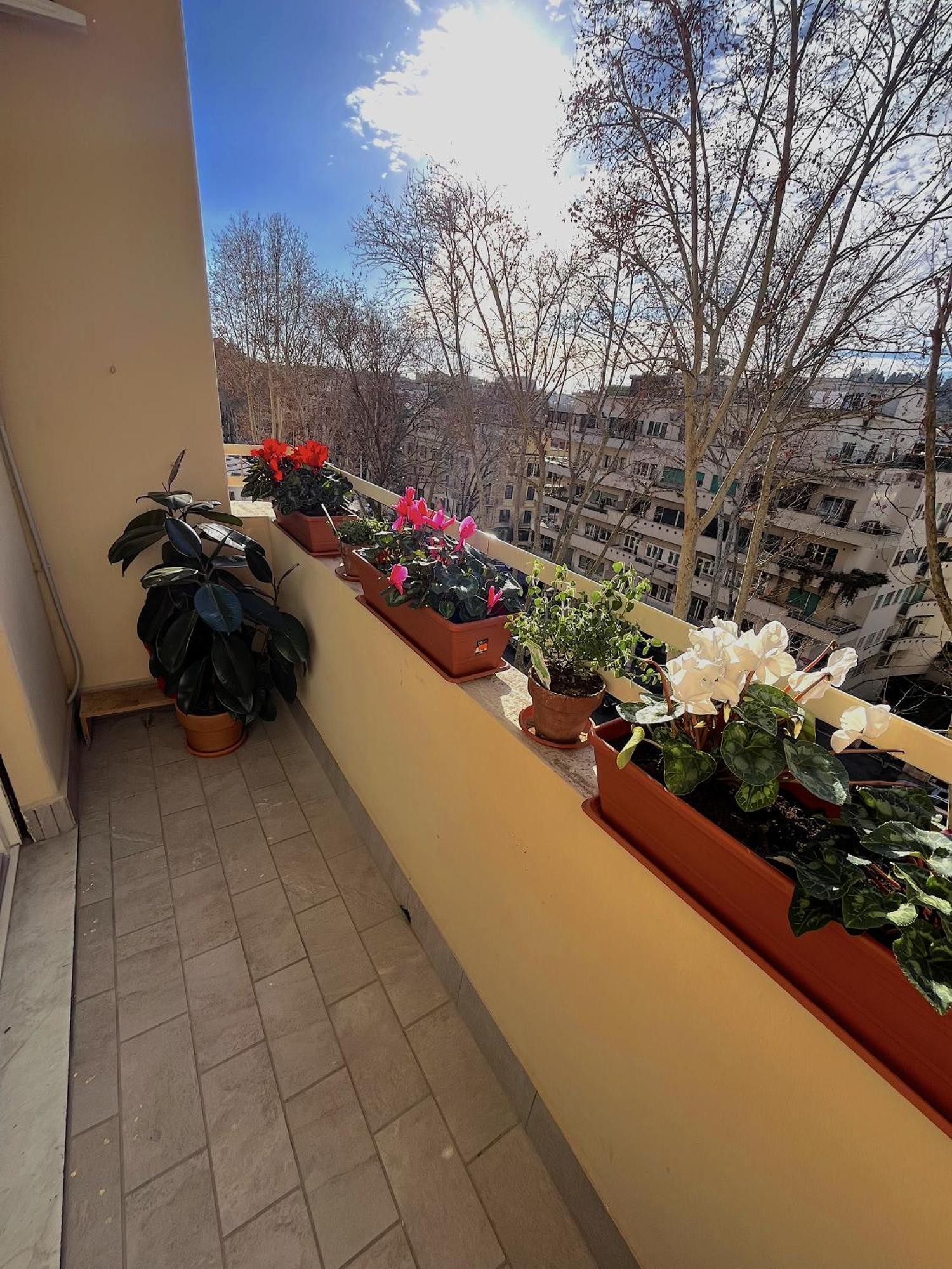 Apartamento Angelico