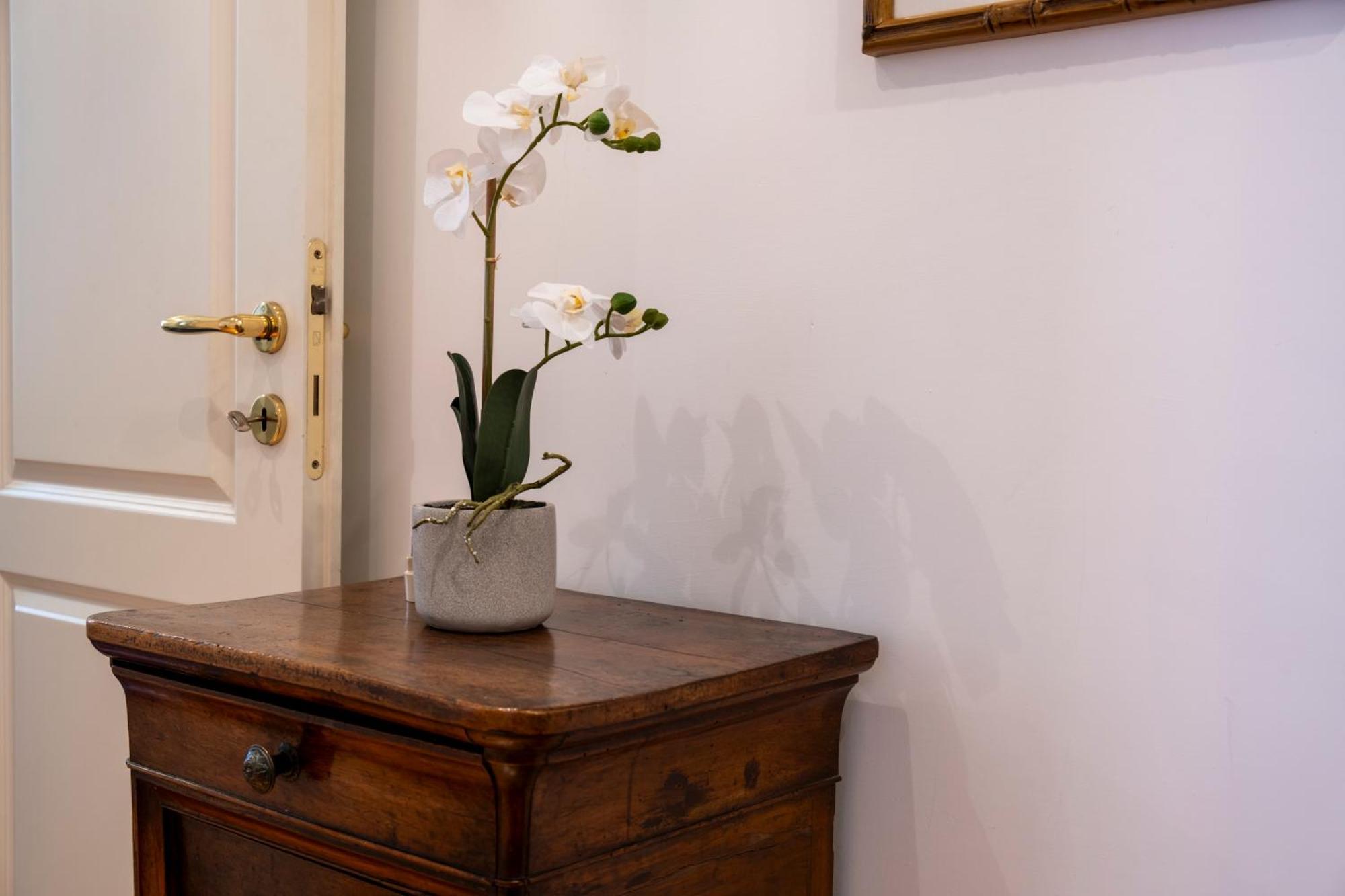 Apartment Elegantis Solinda - Easily Get To The Historic Center, Metro, Tram And Bus Are Nearby *